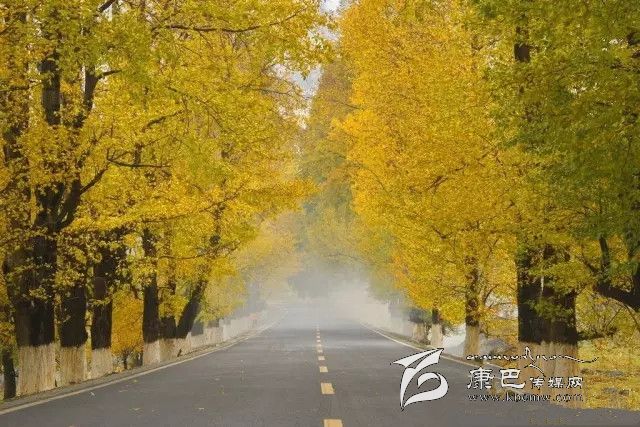 康定新都橋，有一條黃金大道通往夢(mèng)中的天堂